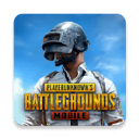 小SAO貨大JI拔CAO死你(PUBG MOBILE)v3.5.0